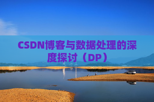 CSDN博客与数据处理的深度探讨（DP）